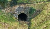 Tour Wandern Château-Arnoux-Saint-Auban - CHATEAU ARNOUX .  Chapelle S Jean o l - Photo 9