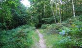Trail Walking Choisy-au-Bac - en forêt de Laigue_5_09_2019_Mont Moyen_Queue du Bois_Plates Noues - Photo 7