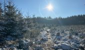 Tour Wandern Libramont-Chevigny - Bois de Sevicour - Photo 1