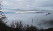 Percorso Marcia Soultz-Haut-Rhin - grand ballon pat - Photo 1