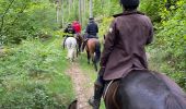 Trail Horseback riding Bastogne - Tripoux 2023 j2 - Photo 8