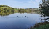 Trail Walking Ronno - lac des Sapins - Photo 5