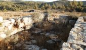 Tour Zu Fuß Regionalverwaltung Mateh Jehuda - יתלה - Photo 6