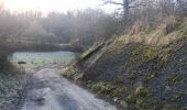 Trail Walking Ferrières - entre xhoris et bois de monty - Photo 20