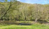 Tour Wandern Aywaille - en remontant l'Amblève et en redescendant le Ninglinspo - Photo 16