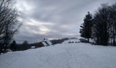 Tocht Sneeuwschoenen Sewen - Sortie raquettes au Langenberg - Photo 6