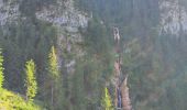 Excursión A pie Borșa - Complexul Turistic Borșa – Cascada Cailor – Pasul Prislop (red triangle) - Photo 1