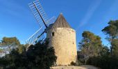 Trail Walking Fontvieille - Fontvieille - Photo 3