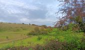 Trail Walking Theux - franchimont-maché . chinru - retour - Photo 10