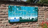 Trail  Obernai - Domaine St Jacques Mont St Odile  - Photo 7