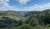 Tour Wandern Cheval-Blanc - Les gorges du Regalon  - Photo 11