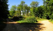 Trail Walking Trosly-Breuil - en forêt de Compiègne_28_les Tournantes sur le Mont Saint-Mard et sur le Mont Collet - Photo 2