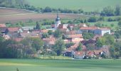 Randonnée A pied Neustadt an der Orla - Durch Wälder Fluren Dörfer des Buntsandsteingebietes - Photo 3