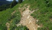 Tocht Stappen Fillière - ronceveau au col du freu 24 juin 19 - Photo 10