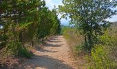 Tocht Stappen Vivès - mme sentier de Vives  - Photo 5