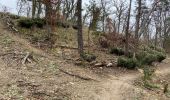 Tocht Noords wandelen Fontainebleau - Départ croix Toulouse  - Photo 2