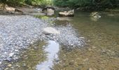 Tour Wandern Cusy - 14-08-2022 Pont de Cusy - Pont de l'abîme  - Photo 4