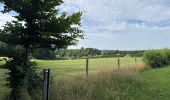 Tour  Attert - Balisage GR 15 - Photo 9