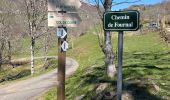 Randonnée Marche Laveissière - Trek GR400 Cantal  - Photo 15