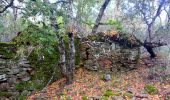 Excursión Senderismo Les Mayons - FFRandonnée-Sur_les_traces_du_decauville - Photo 11