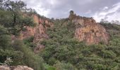 Trail Walking Roquebrune-sur-Argens - Blavet selon François  - Photo 9