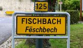 Percorso A piedi Fischbach - Fleche Bleu Fischbach II - Photo 1