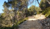 Tocht Stappen Gémenos - Coulin, Mont Cruvelier, Sommet de Bigou - Photo 12