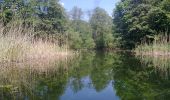 Tour Zu Fuß Plön - Schöhsee - Photo 8