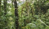 Tour Wandern Mindo - Cascadas de Tarabita - Photo 2