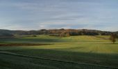 Tocht Te voet Gemeinde Berndorf - Aigner-Hauke Runde (Berndorf) - Photo 1