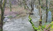 Trail Walking Wellin - Daverdisse 040124 - Photo 13