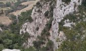 Tocht Stappen Gigondas - 84 dentelles montmirail - Photo 7