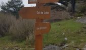 Randonnée Marche Lucéram - Col de Porte Col de L’Autaret - Photo 7