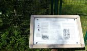 Tocht Stappen Chaumont-Gistoux - #210507 Dion-le-Mont, Pisselet et Louvranges - Photo 4