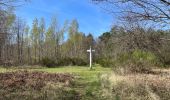 Trail Walking Compiègne - en forêt de Compiègne_48_sur les Routes de la Mariolle et du Grand Veneur - Photo 20