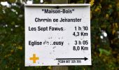 Randonnée Marche Theux - 20221024 - Jehanster 7.7 Km - Photo 16