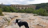 Excursión Senderismo Vers-Pont-du-Gard - pont du Gard  - Photo 1