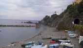 Trail On foot Levanto - Vallesanta - Monte delle Streghe - Colletto - Photo 1