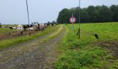 Tocht Stappen Havelange - Porcheresse en condroz  180624 - Photo 9