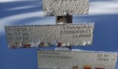Trail Snowshoes La Pesse - L'Embossieux - Les Planes - Photo 3