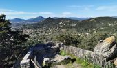 Excursión Senderismo La Crau - Chapelle du Fenouillet & Château de Hyères - Photo 5