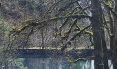 Trail Walking Saint-Pierre-de-Chartreuse - chartreuse les haberts - Photo 1