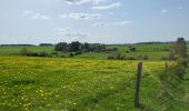 Trail Walking Sainte-Ode - BeauPlateau - Photo 3