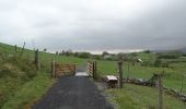 Trail On foot Westport-Belmullet Municipal District - Furnace Loop - Mayo - Photo 9