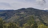 Trail Walking Caunes-Minervois - Caunes/Mayrac/Caunes le 22 avril 2022 - Photo 2