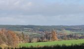 Trail Walking Vielsalm - rando bihain 19-11-2023 - Photo 11