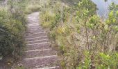 Randonnée Marche Quiroga - Laguna de Cuicocha - Photo 16