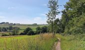 Tocht Stappen Riemst - kanne . carrière . château fort st pierre . château neerkanne - Photo 11