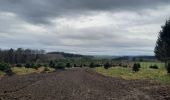 Tour Wandern Neufchâteau - marche adeps Tournay  - Photo 6