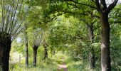 Tocht Stappen Diepenbeek - La vallée du Démer - La réserve naturelle Dorpsbemden à Diepenbeek - Photo 8